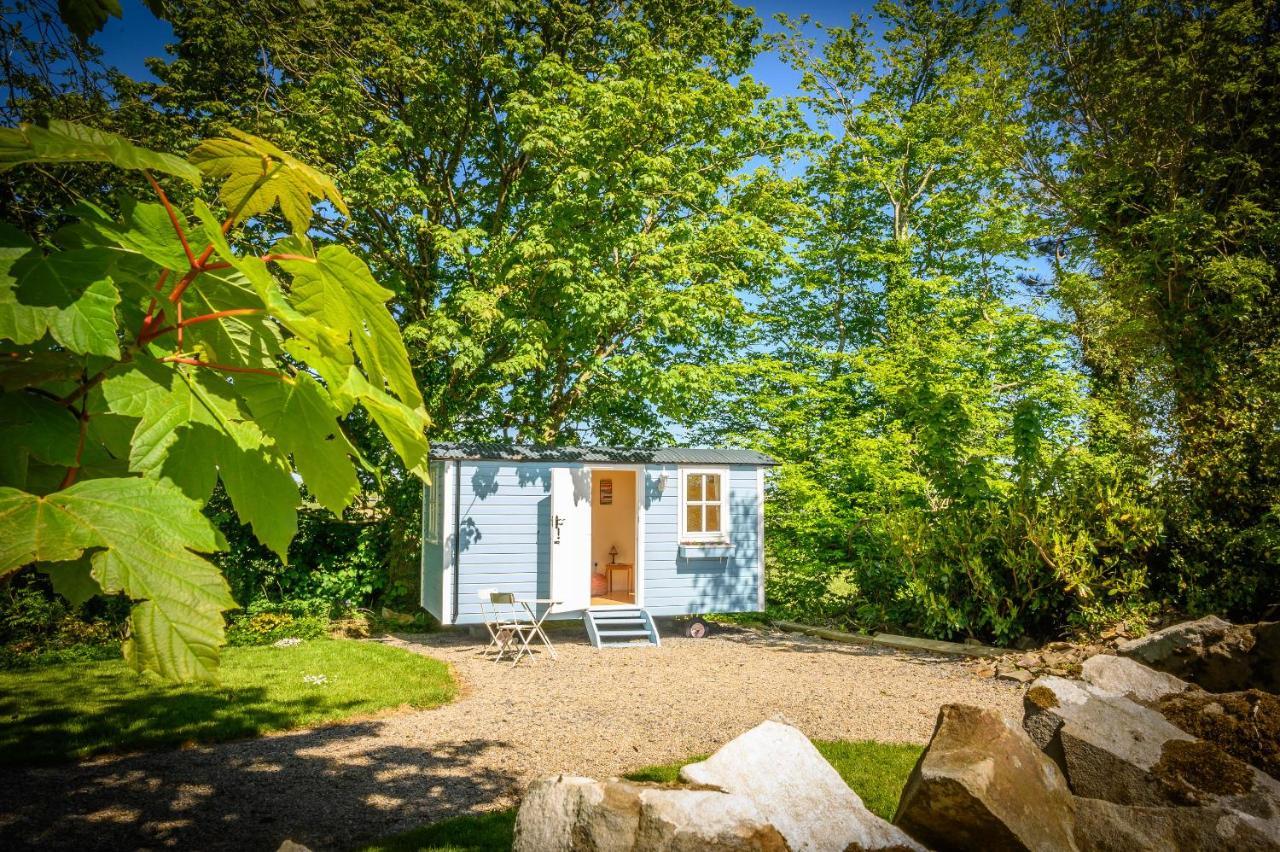 Chalet Glamping At Doon Angus Farm