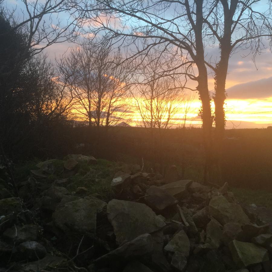 Chalet Glamping At Doon Angus Farm *