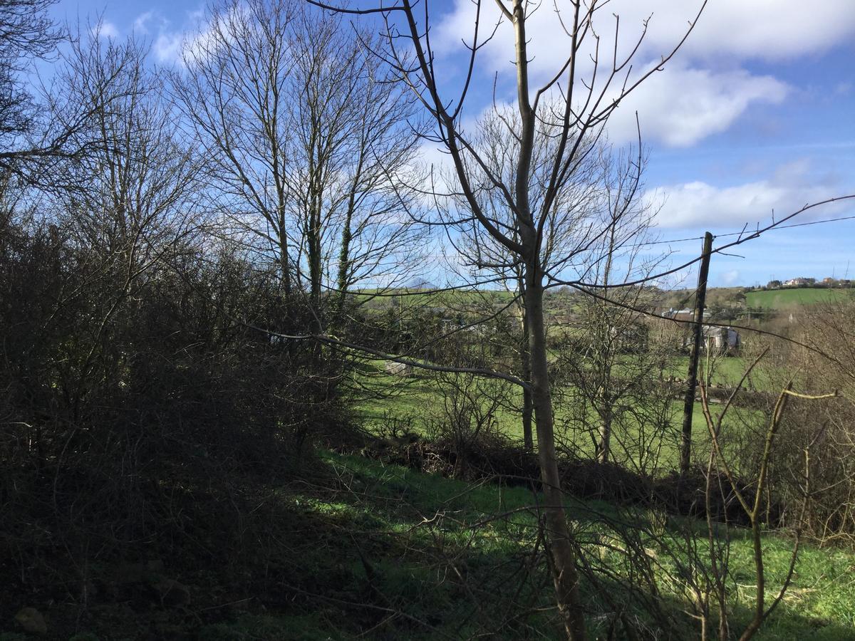 Glamping At Doon Angus Farm Chalet *