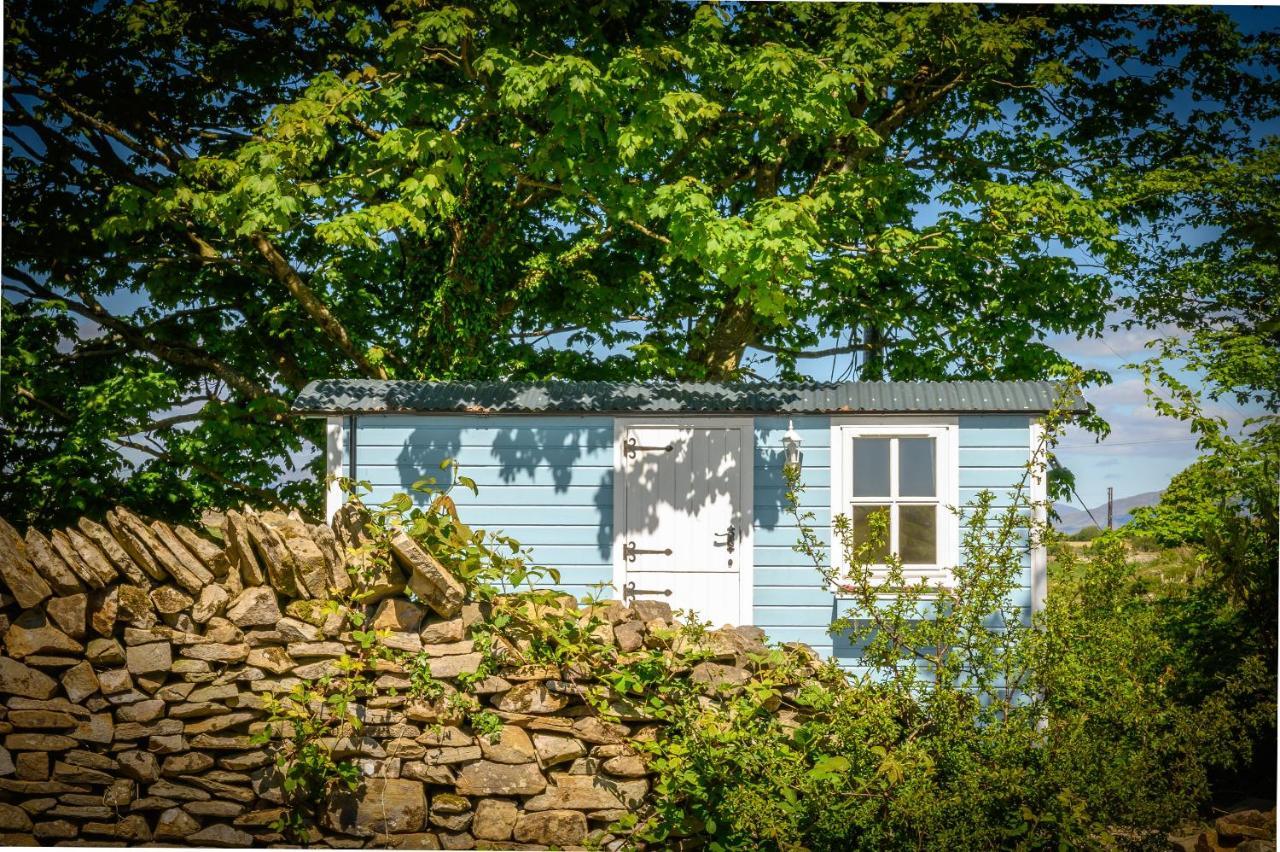 Chalet Glamping At Doon Angus Farm